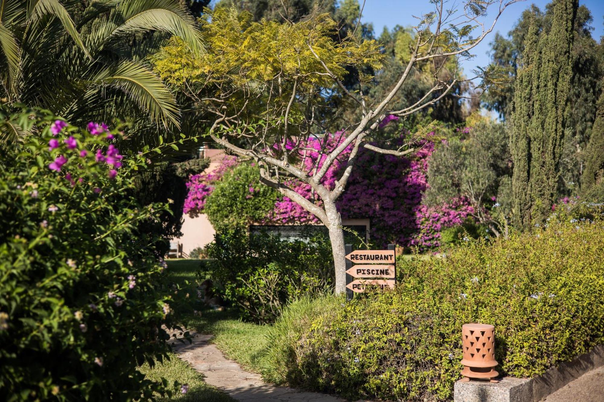 Dar Maktoub Bed and Breakfast Agadir Exteriör bild